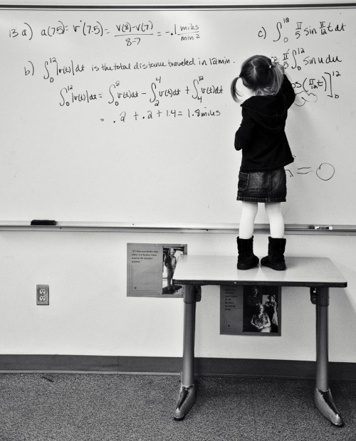 500x620, 70 Kb / школа, математика, стол, школьница, интегралы