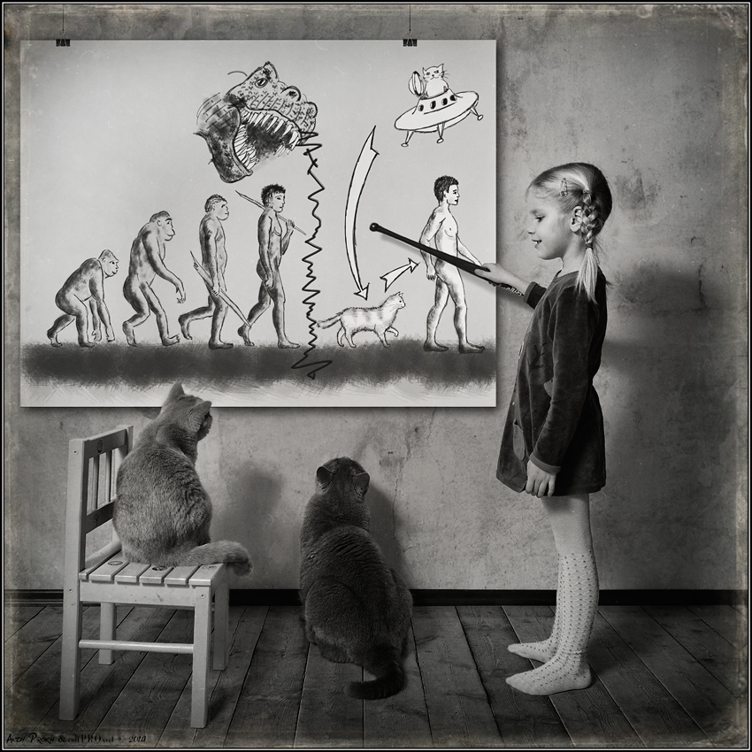 850x850, 341 Kb / ANDY, PROKH, девочка, коты, табуретка, стульчик, рисунок, дарвин, нло,