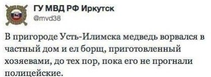 417x153, 17 Kb / Медведь, борщ, полицейские