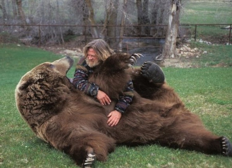 750x545, 100 Kb / медведь, Барт, Даг Сеус