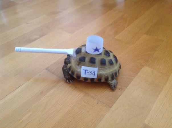 604x451, 40 Kb / черепаха, т34, ствол, пол