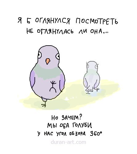 445x500, 24 Kb / голубь, дюран, фадеев