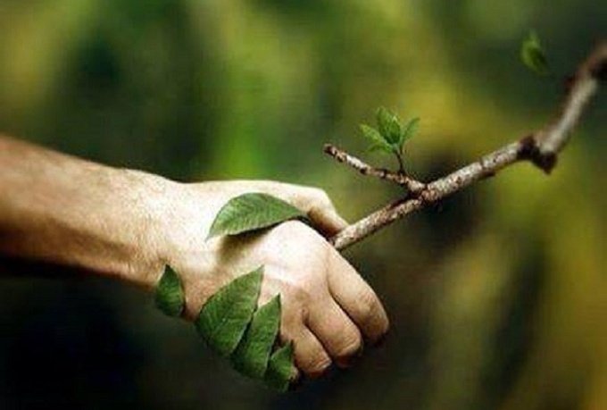 680x459, 36 Kb / рукопожатие