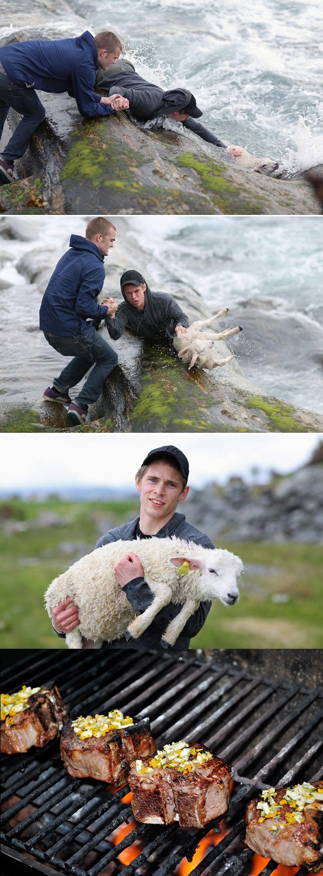 658x1781, 255 Kb / ягненок, овца, шашлык, спасение, море