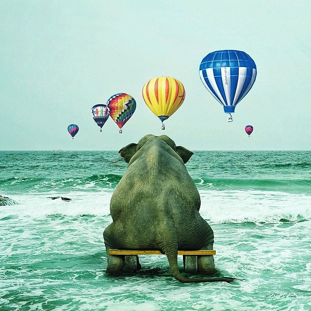 612x612, 125 Kb / скамейка, слон, море, дирижабль, фотошоп, воздушный шар