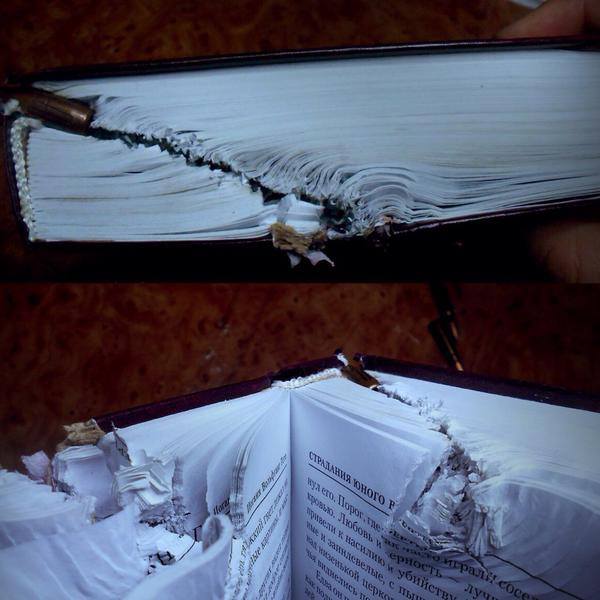 600x600, 45 Kb / книга, пуля