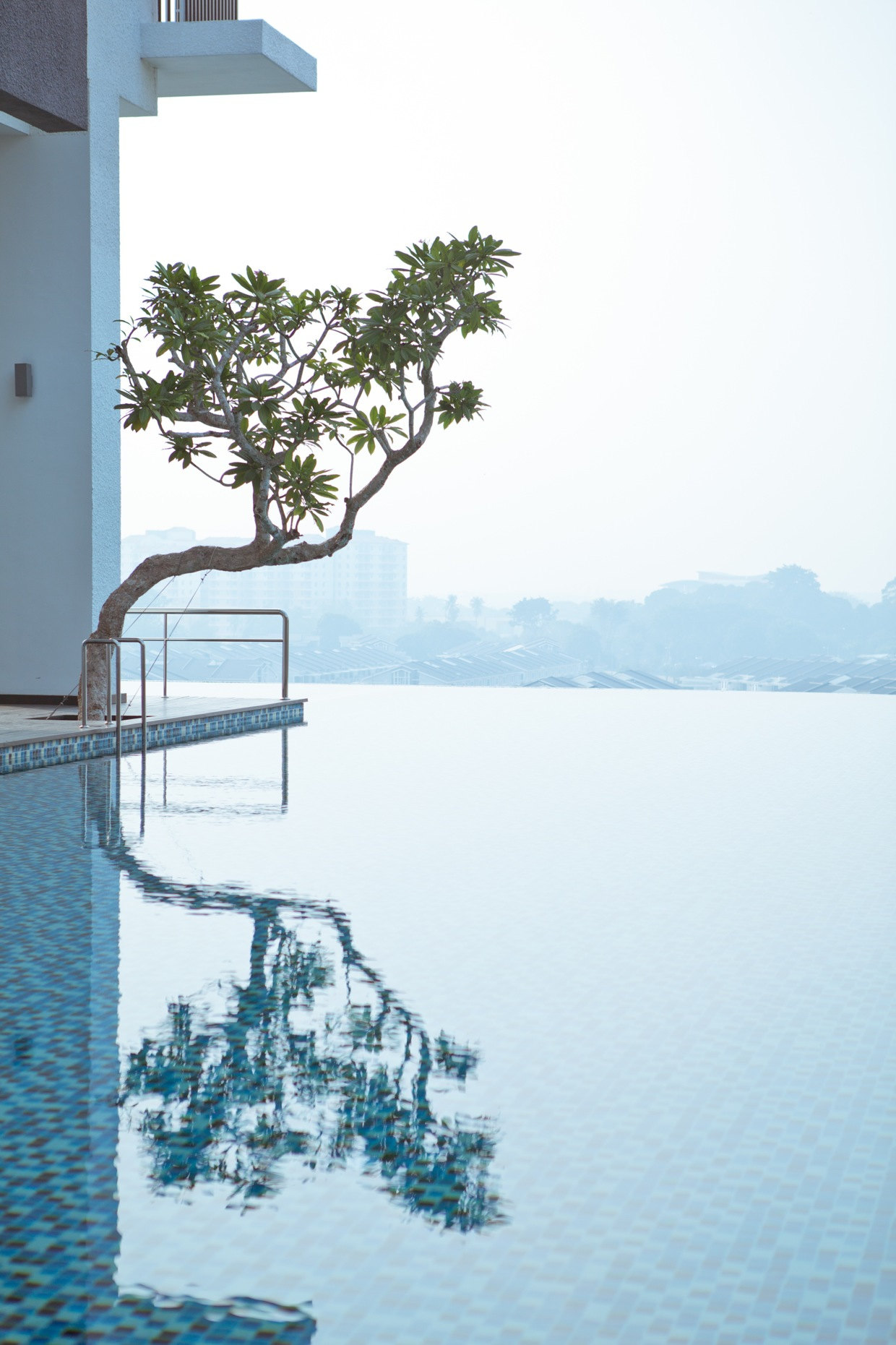 1240x1861, 331 Kb / дерево, пода, бассейн, крыша