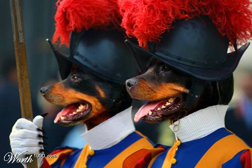 500x333, 24 Kb / собаки, кирасиры