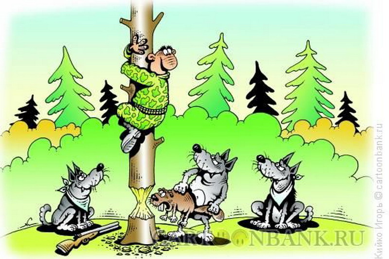 800x533, 124 Kb / Охотник, дерево, бобёр, волки