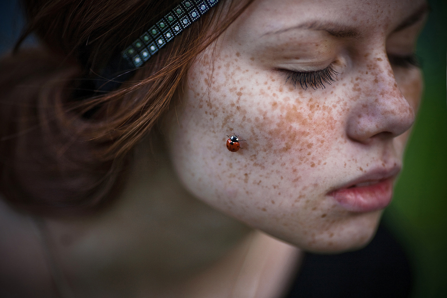 900x600, 281 Kb / божья, коровка, ободок, веснушки