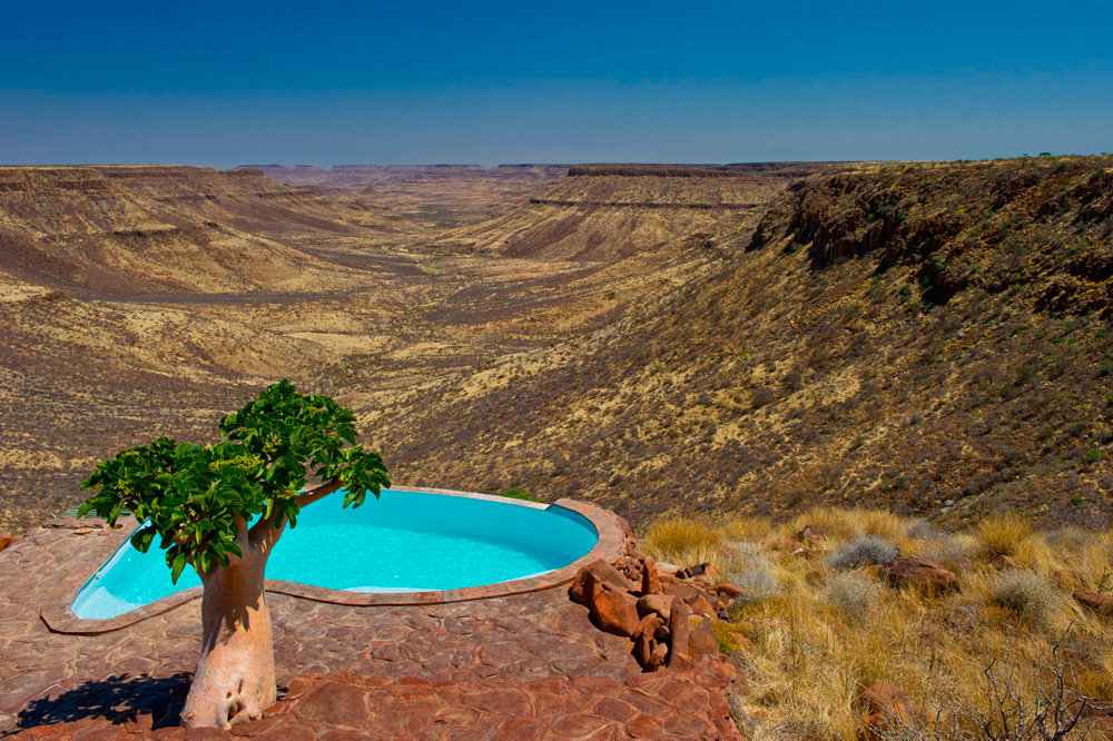 1000x666, 259 Kb / намибия, бассейн, баобаб, дерево, пустыня