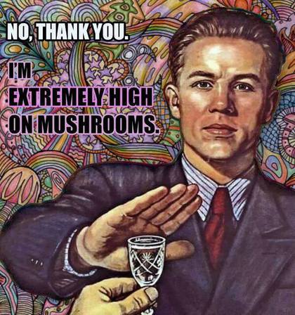 420x448, 48 Kb / нет, плакат, бухло, грибы