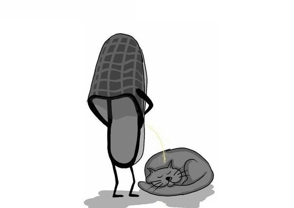 604x427, 16 Kb / Кошки, тапки, месть