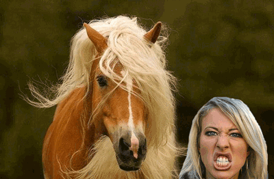 400x262, 132 Kb / собчак, лошадь, гиф