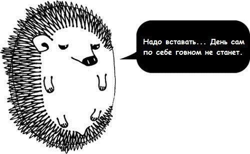 500x309, 26 Kb / ежик, оптимист, хиккикомори