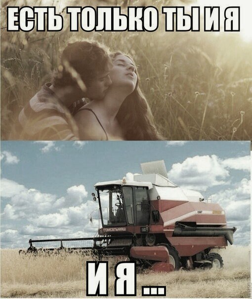 510x604, 69 Kb / комбайн, поле, романтика