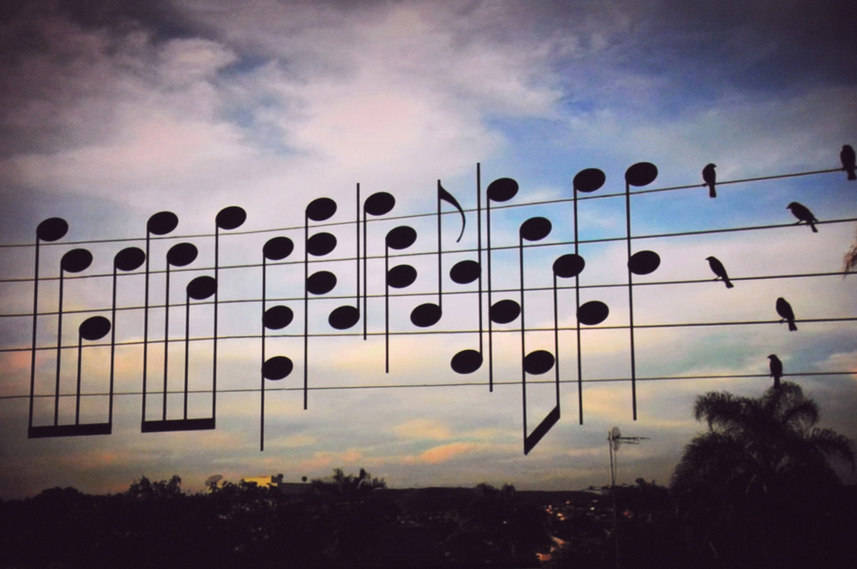 1200x797, 248 Kb / провода, ноты, птицы