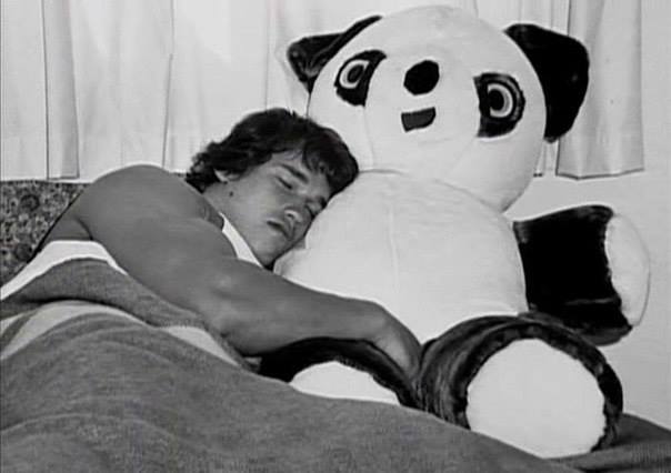 604x426, 25 Kb / Арнольд Шварценеггер, панда, плюшевый медведь, кровать, сон, ч/б