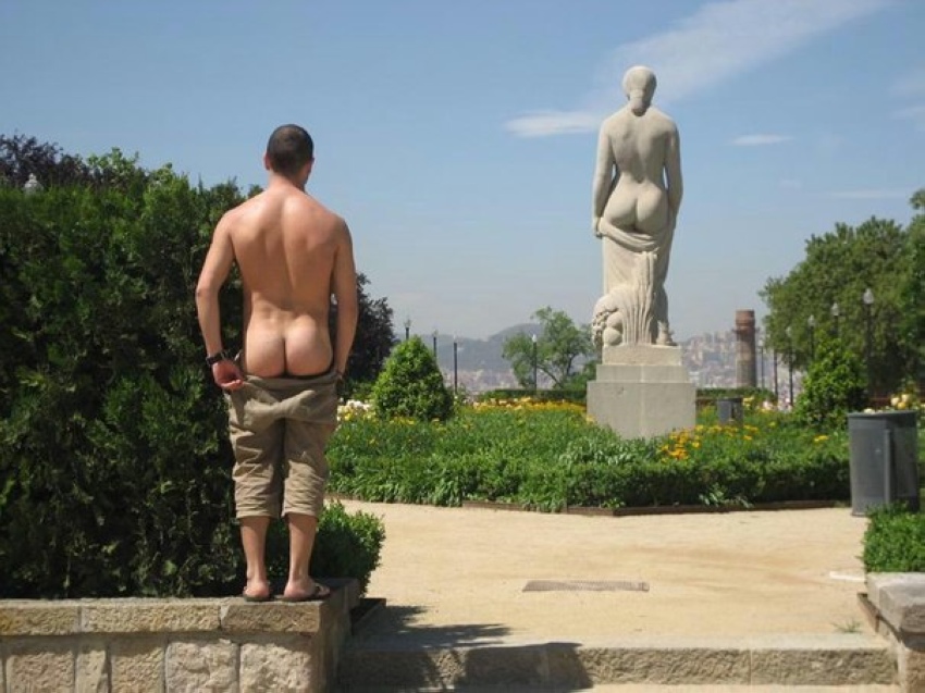 850x637, 184 Kb / статуя, жопа, сзади, мужик, копирует, идиот, памятник, поза, подобие