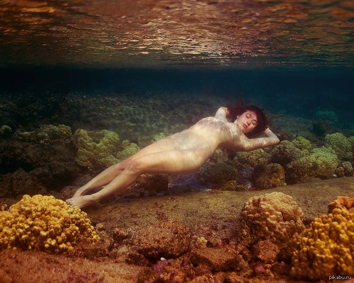 700x560, 141 Kb / море, кораллы, релакс