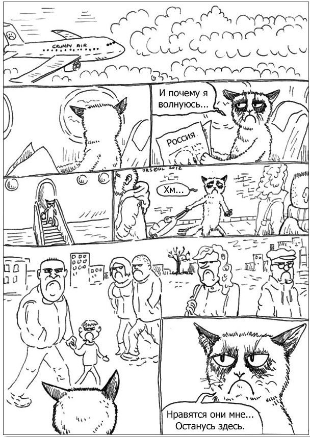 608x858, 163 Kb / кот, Россия, печаль, гримпи