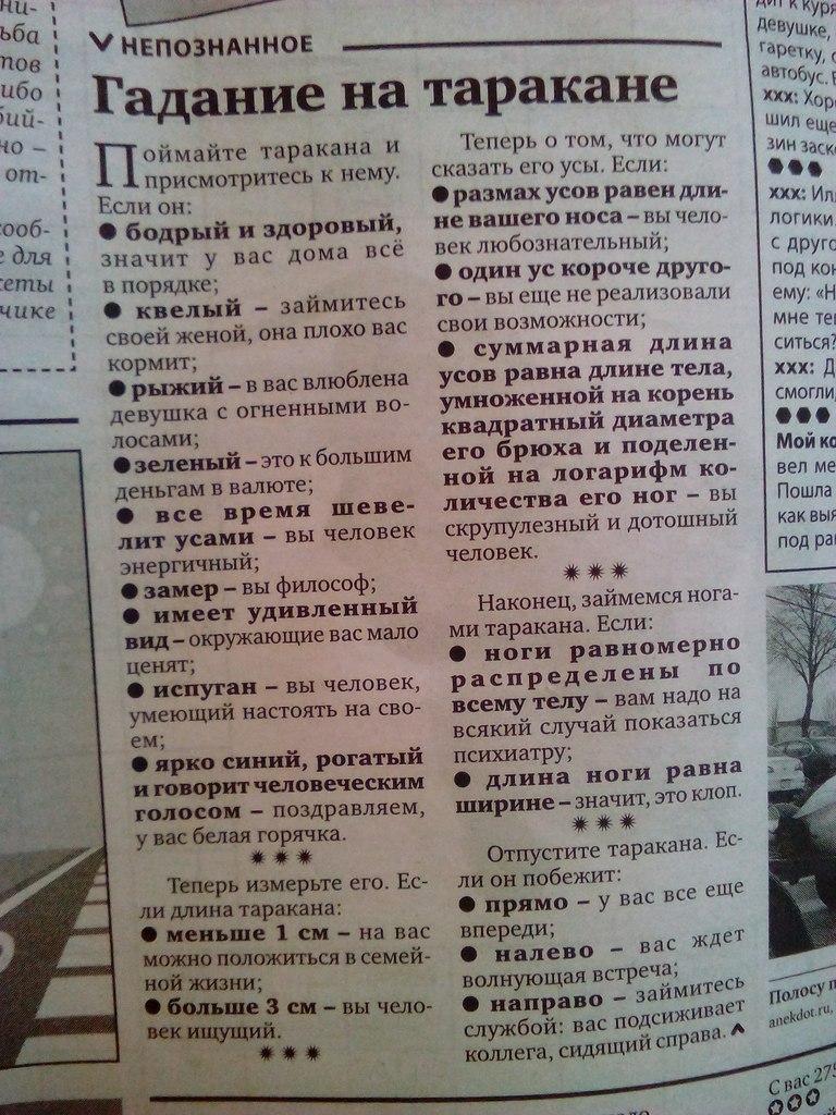 768x1024, 222 Kb / Газета, таракан, гадание