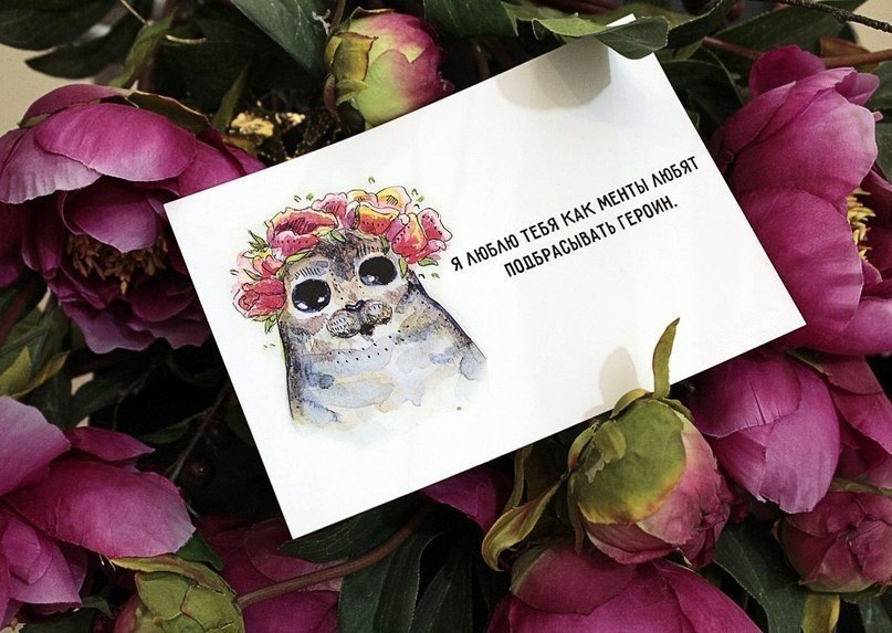 807x573, 108 Kb / Открытка, цветы