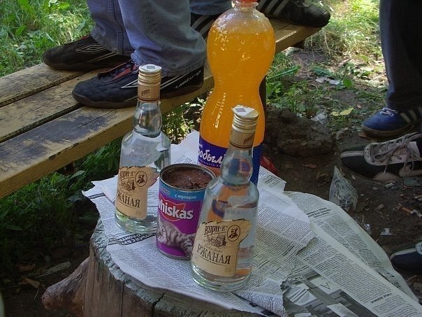 604x453, 79 Kb / Водка, пень, закуска, вискас, газета