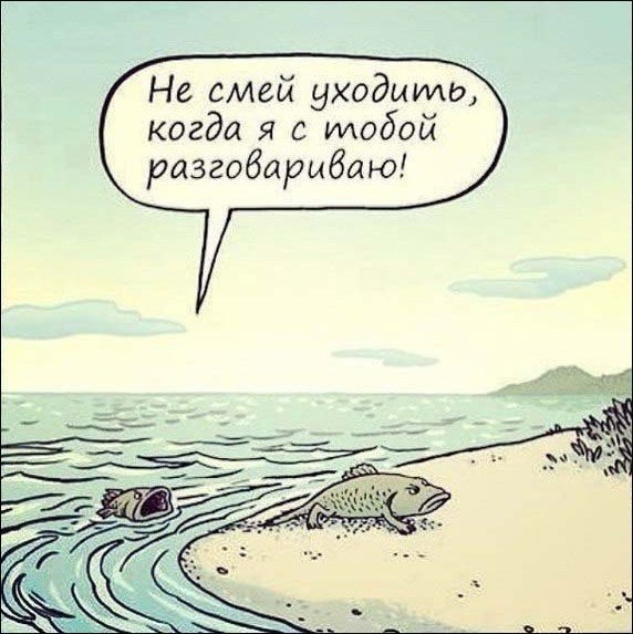 572x573, 68 Kb / рыба, рептилия, эволюция