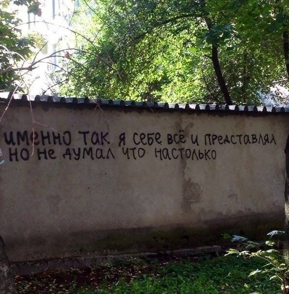 594x604, 71 Kb / мудрость, реальность, забор, надпись