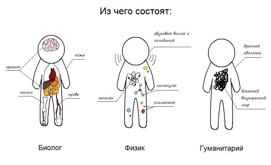 905x553, 61 Kb / физик, гуманитарий, биолог, состав