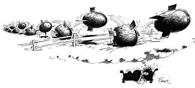 780x355, 44 Kb / овцы, изгородь, сон, кровать, спящий, бомбы, ракеты, Франкен, Андре