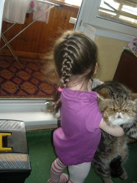 453x604, 56 Kb / девочка, кот, балкон, гладильная доска