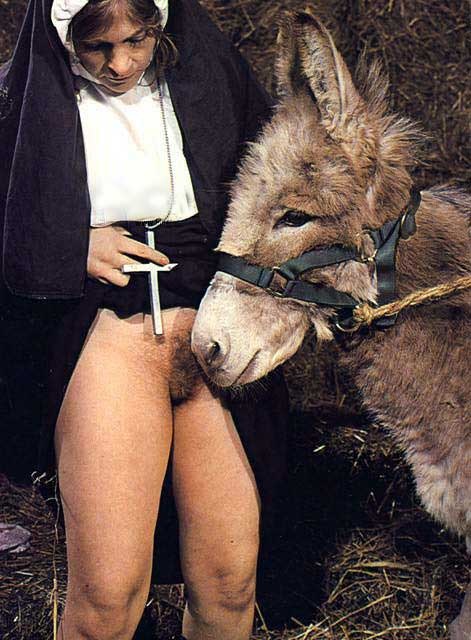 471x640, 107 Kb / осёл, монашка, мохнатка