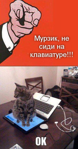 319x604, 64 Kb / котёнок, ноутбук, палец, рука, красный