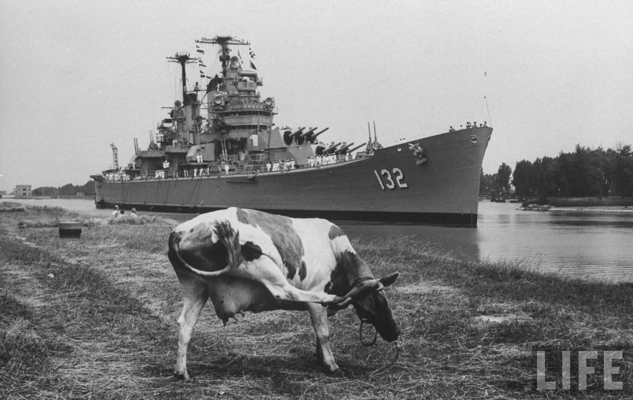 1280x808, 140 Kb / крейсер, USS Macon, корова, река