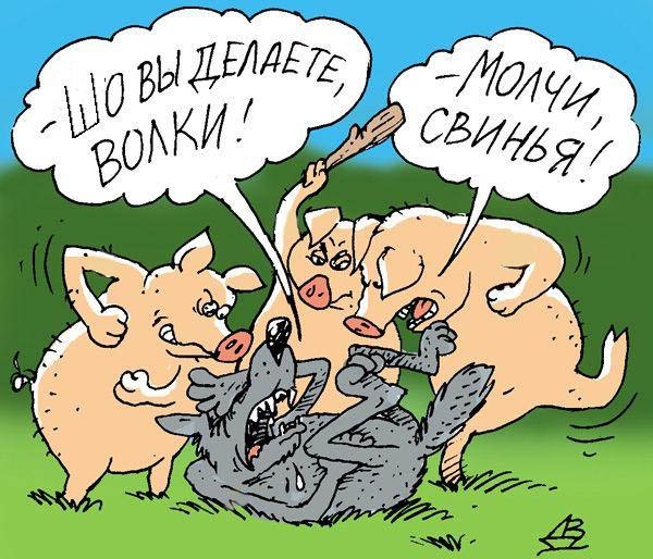 600x514, 83 Kb / свиньи, волк