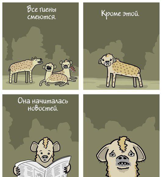 531x581, 47 Kb / гиены