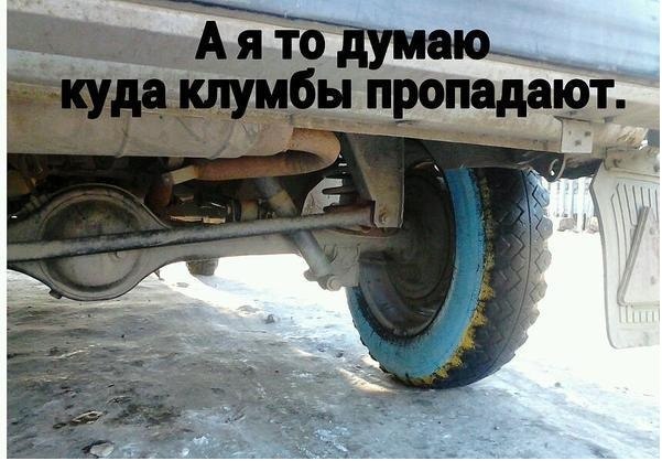 601x418, 55 Kb / колесо, покрышка, клумба