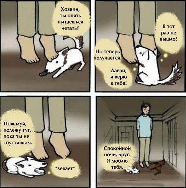 597x604, 72 Kb / щенок, друг, суицид