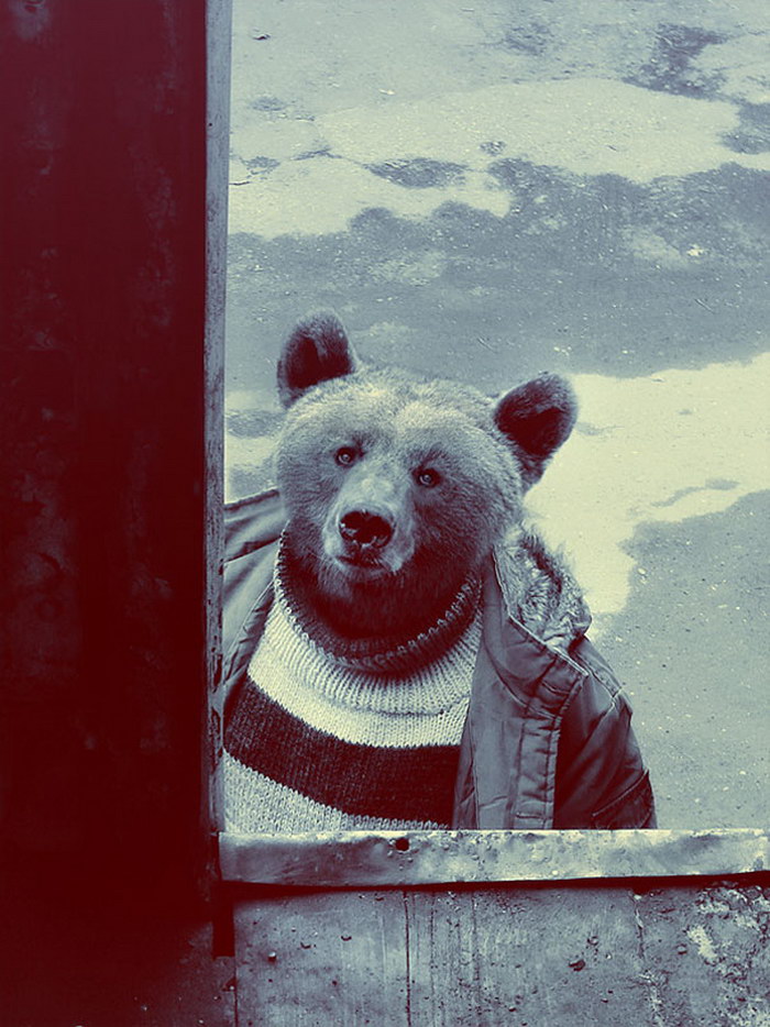 700x934, 152 Kb / медведь