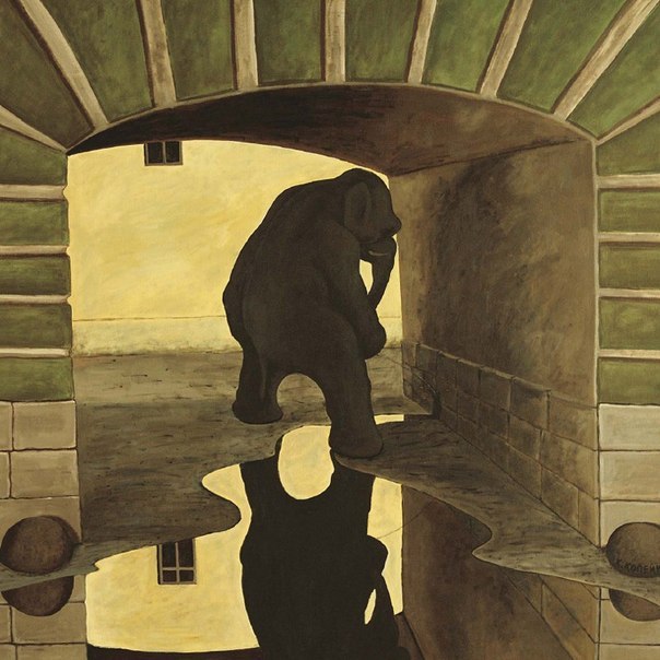 604x604, 75 Kb / слон, подъезд, лужа, струя