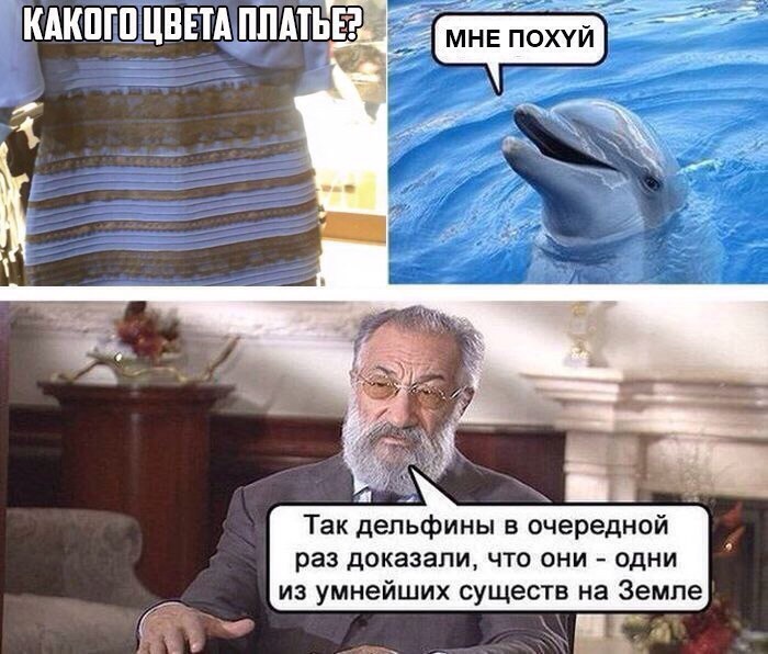 700x596, 115 Kb / дельфин, платье, разум