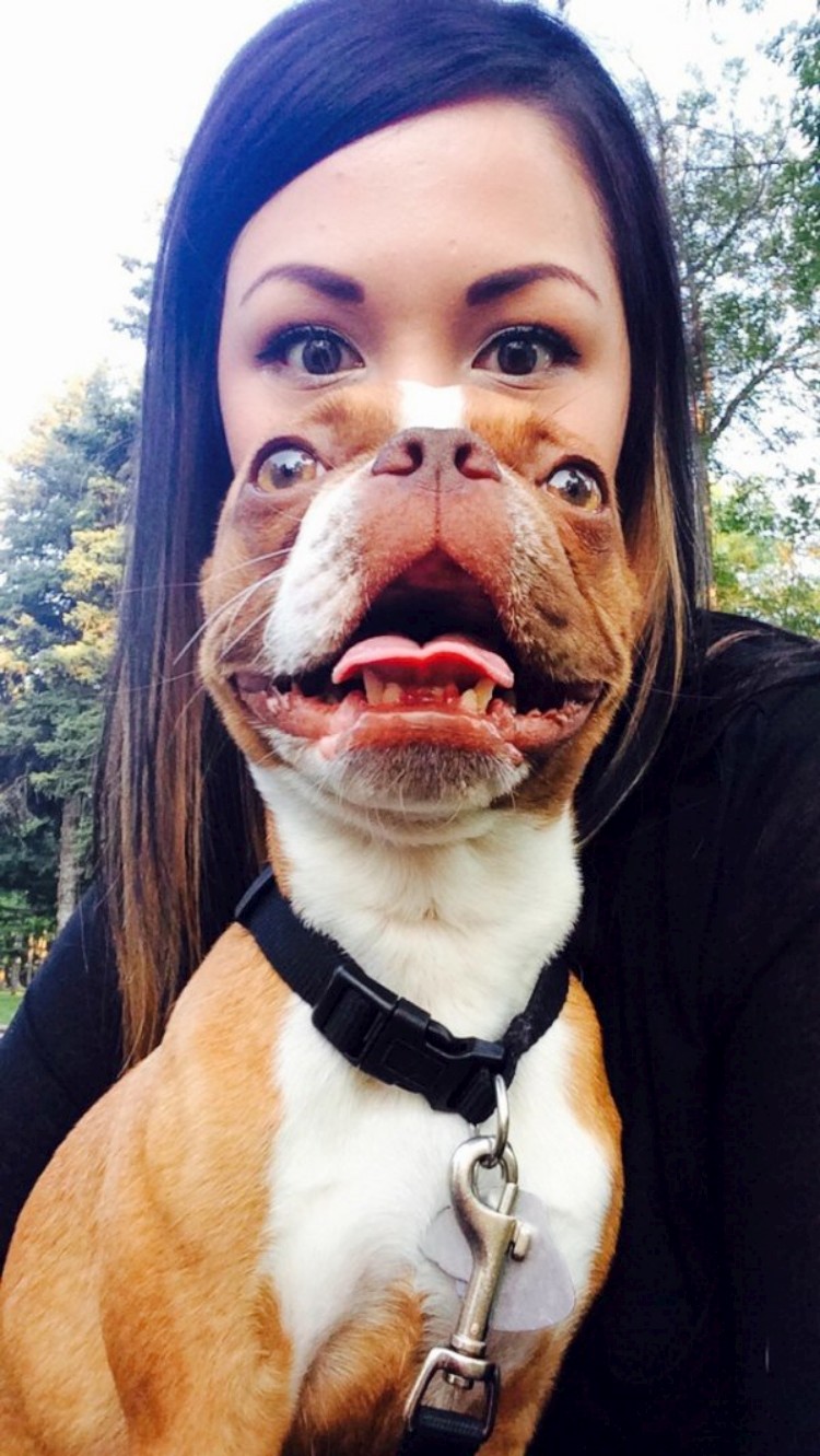 750x1331, 207 Kb / показалось, пёс, баба, собака, ошейник, язык