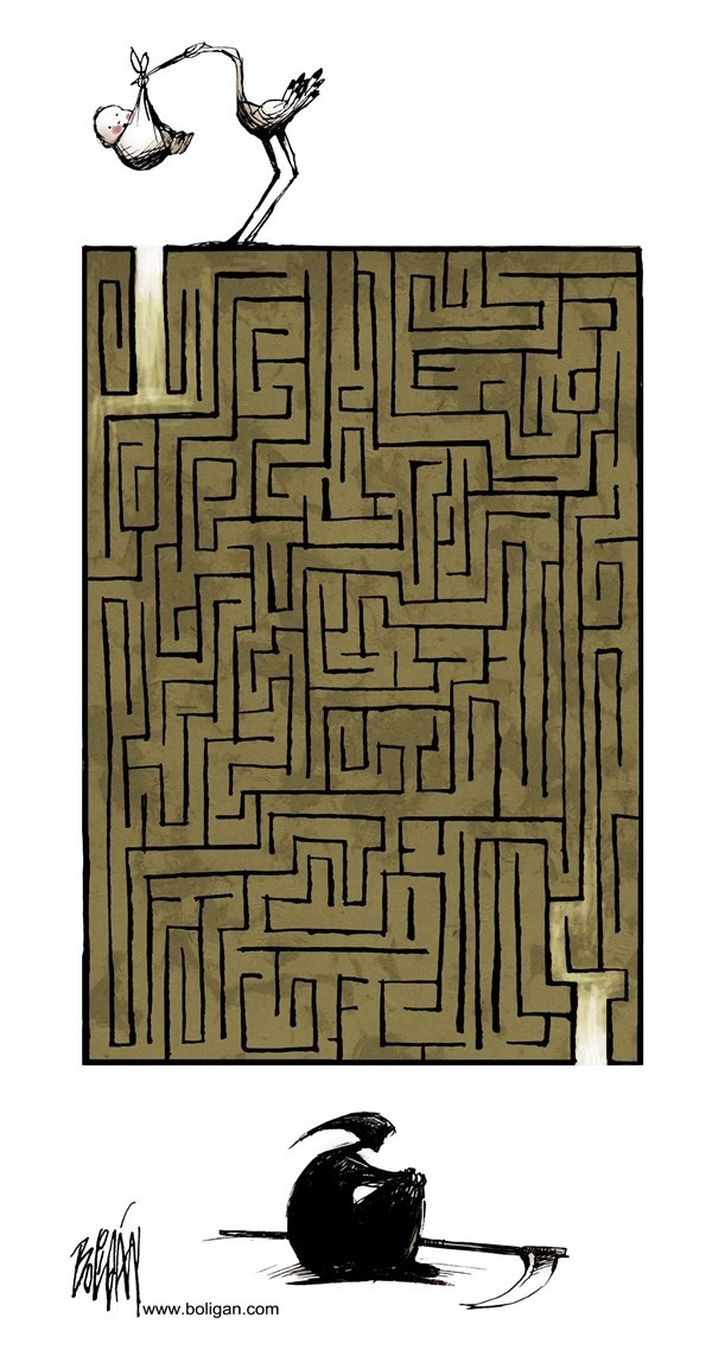 712x1356, 132 Kb / лабиринт, аист, смерть, жизнь