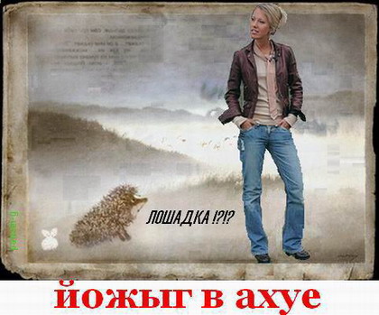 420x349, 48 Kb / собчак, лошадка, ежик