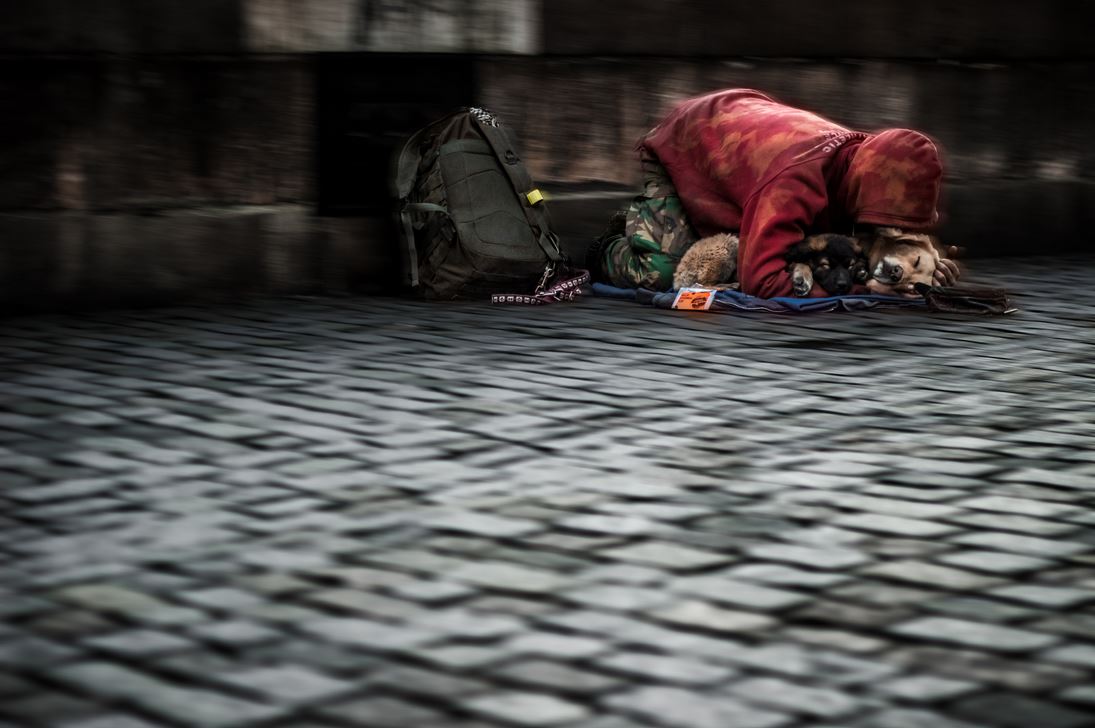 1095x728, 102 Kb / мостовая, рюкзак, капюшон, собаки