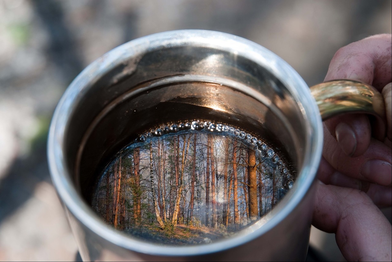 1280x857, 212 Kb / кружка, лес, чай