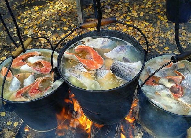 625x453, 94 Kb / Вёдра, костёр, красная, рыба, уха