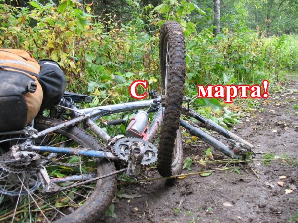 604x453, 113 Kb / 8, марта, велосипед, колесо